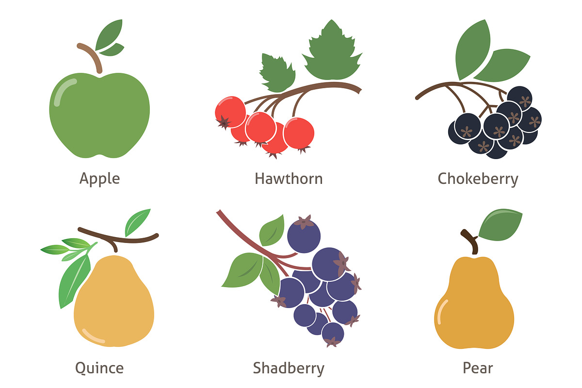 Fruit and berries preview 2