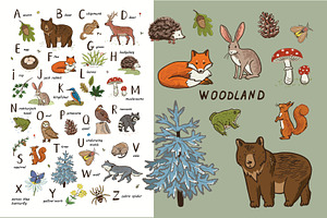 Woodland Alphabet, an Animal Illustration by GooseFrol