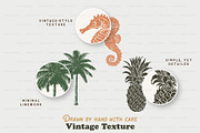 Vintage Tropical Illustrations, an Object Graphic by BirDIY Design (Thumbnail 4 of 8)
