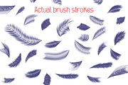 Photoshop Feather Brushes!, a Brush Add-On by Extreme Brushes (Thumbnail 2 of 2)