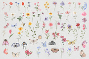 Field of wildflowers, an Object Illustration by ViolettaKh (Thumbnail 4 of 12)