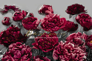 Dark red peonies, an Illustration by Vasmila (Thumbnail 4 of 10)