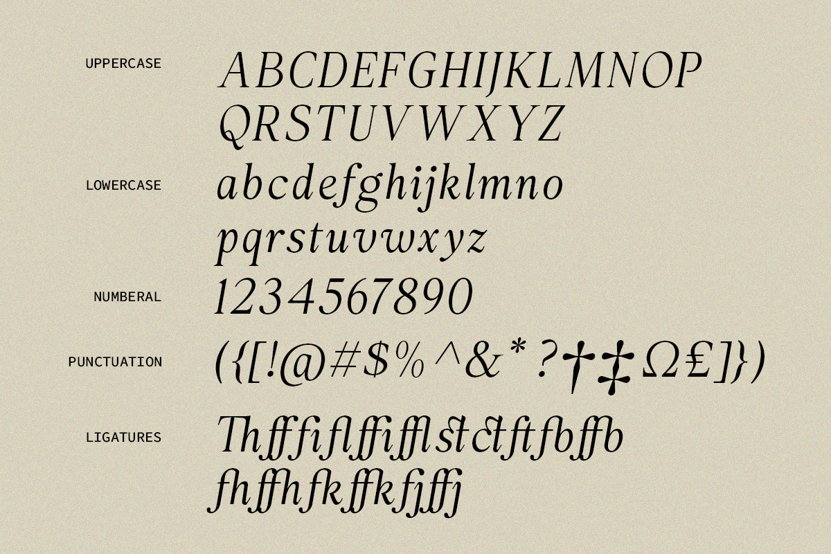The Rosemide Serif, a Serif Font by Skinny Type (Photo 13 of 13)