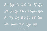 Mr.Monty Handwritten Script, a Script Font by Mr.Typeman (Thumbnail 2 of 8)