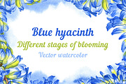 Vector watercolor hyacinth, a Decorative Illustration by Evgeniia Zagreeva (Thumbnail 1 of 2)
