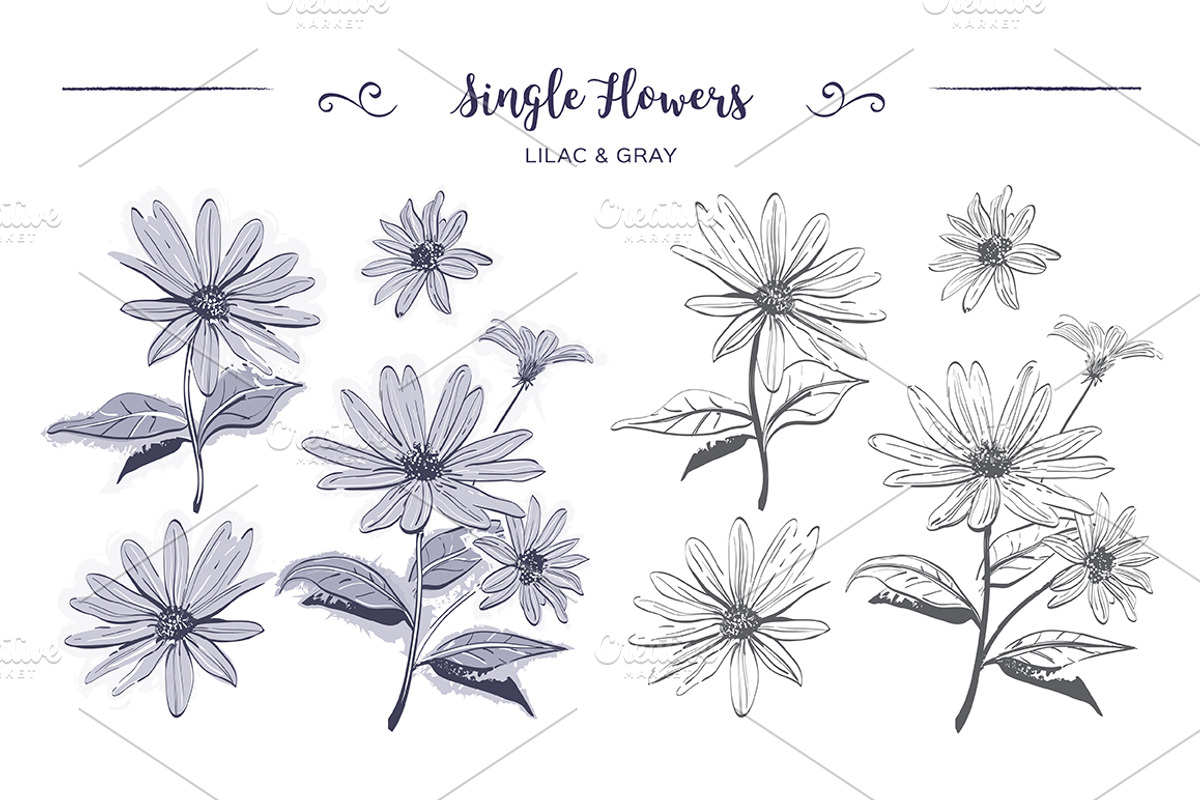 Flowers & stripes - Cards & Patterns, a Decorative Illustration by ClipartMuchLove (Photo 2 of 13)