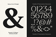Relyne Serif, a Serif Font by zeenesia (Thumbnail 13 of 14)