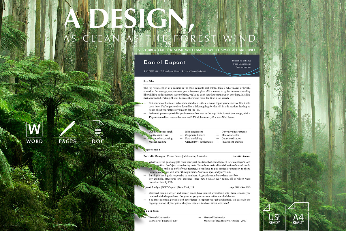 Finance Resume Template, CV Template, a Resume Template by Career Canvas (Photo 10 of 10)