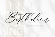 Bertholina Script, a Script Font by JamalCreativeStudio (Thumbnail 1 of 10)