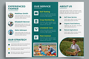 Modern Agriculture Tri Fold Brochure, a Brochure Template by MightyDesign (Thumbnail 4 of 7)