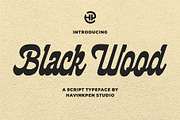 BLACK WOOD - Modern Classic Script, a Script Font by Havinkpen (Thumbnail 1 of 9)
