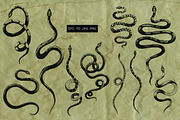 Snakes vector set, a Graphic by Noli Molly Store (Thumbnail 2 of 5)