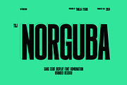 TBJ Norguba Sans Serif Display, a Sans Serif Font by Taboja Studio (Thumbnail 1 of 11)