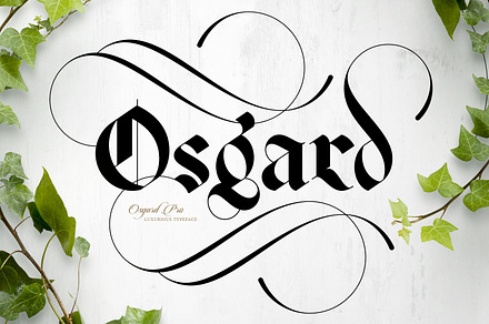 Osgard Pro | Font, a Blackletter Font by Anthony James