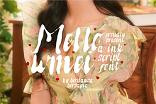 Mellowmei Ink Scipt Font