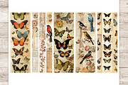 Vintage Birds And Butterflies, an Animal Illustration by GlamArtZhanna (Thumbnail 3 of 3)