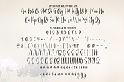 Butterfly | Script Font, a Handwritten Font by Scratchones (Thumbnail 7 of 8)