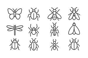 Collection of line art insects, an Animal Illustration by ZinetroN