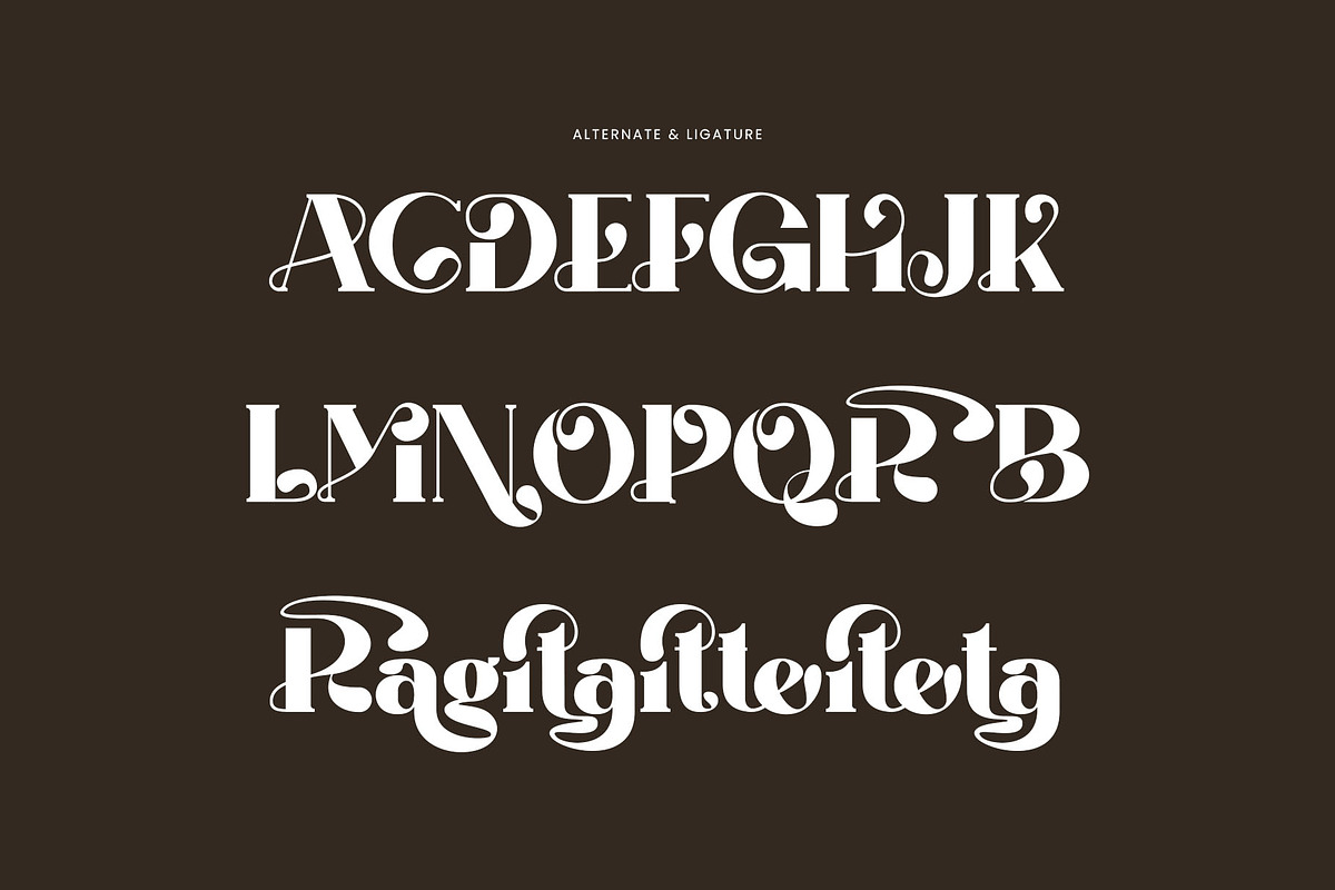 Ragita Elegant Ligature Serif Font, a Serif Font by Perfectype (Photo 8 of 8)