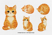 15 Bundle Watercolor Orange Kitten, an Animal Illustration by Morspective (Thumbnail 6 of 8)