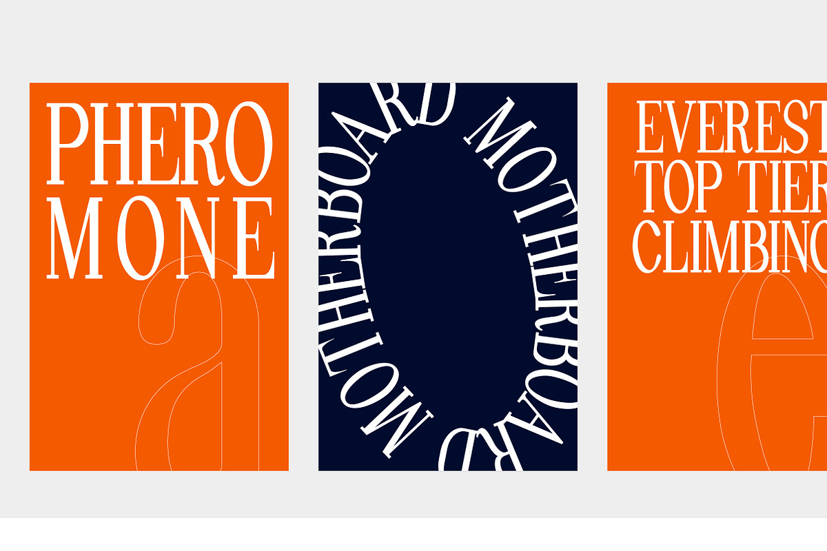 Pheromone | Modern Classic Serif, a Serif Font by Lettertype Studio (Photo 5 of 20)