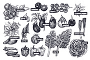 Vegetables and mushrooms., a Food Illustration by MarinaVorontsova (Thumbnail 2 of 10)