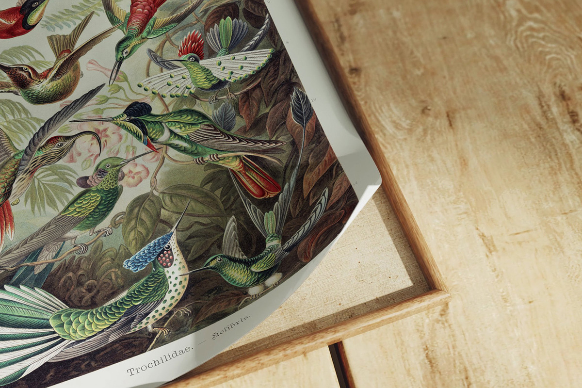 Animated Flat lay Mockup Video, an Advertising Mockup by YimuMockupStore (Photo 2 of 9)