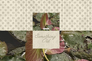 100 Clean Tone Textured Backgrounds, a Background Graphic by Feelsoul (Thumbnail 4 of 13)