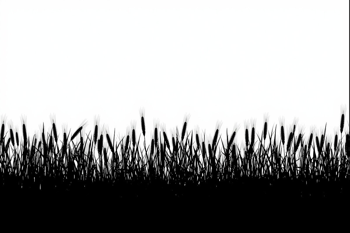 Wheat Field Border Bundle, an Illustration by Designs_River (Photo 4 of 9)
