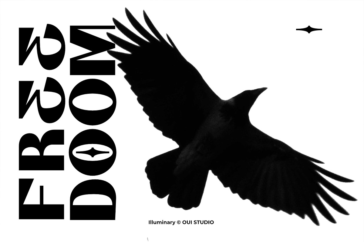 Illuminary Modern Sans Serif, a Sans Serif Font by Oui Studio (Photo 2 of 10)