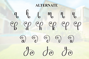 Bighome | Script Font, a Handwritten Font by Scratchones (Thumbnail 8 of 9)