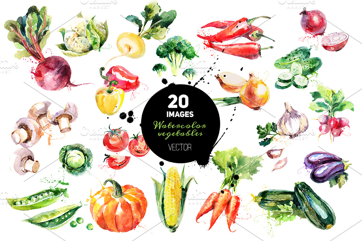 20 Watercolor Vegetables Vector, a Food Illustration by Elena Pimonova (Photo 1 of 5)