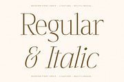 Seraphine Modern Font Serif, a Serif Font by Letterena Studios (Thumbnail 4 of 15)