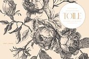 Antique Floral Toile Patterns, a Pattern Graphic by Eclectic Anthology (Thumbnail 14 of 14)