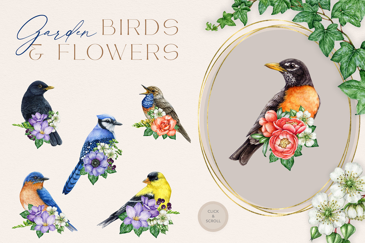 Garden Birds Watercolor Painted Set, an Animal Illustration by AnitaPol (Photo 13 of 21)