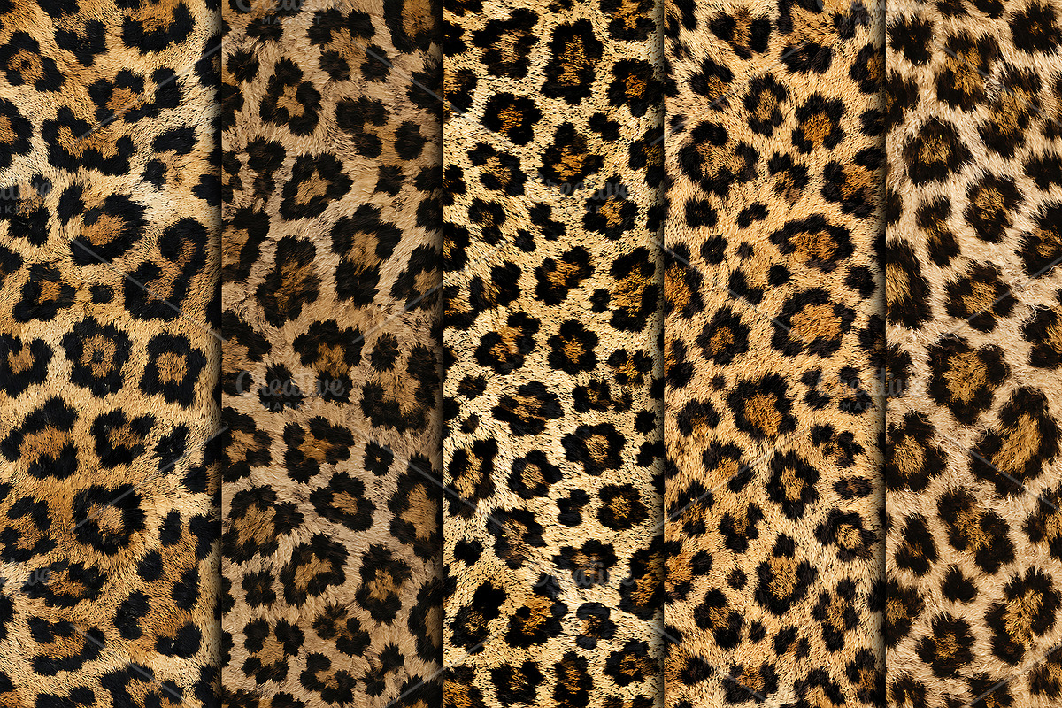 Realistic Jaguar Print Fur Texture, a Pattern Graphic by Artonix (Photo 2 of 3)