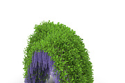 Wisteria Corridor#2, an Environmental 3D Model by AndrewWhite (Thumbnail 5 of 8)