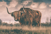 300 Professional Lightroom Presets, an Action Add-On by Madison Colt Studios (Thumbnail 29 of 29)