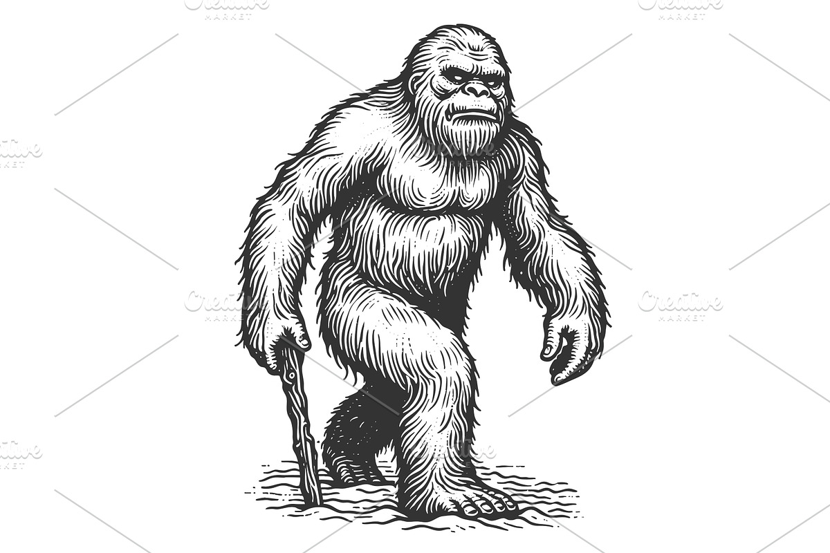 Bigfoot Sasquatch Walking in Forest, an Animal Illustration by AlexArt