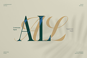 Monthe Calligraphy Serif Font, a Handwritten Font by Rasio Studio (Thumbnail 4 of 11)
