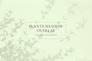 Plants Shadow Overlay, a Background Graphic by M9 Design (Thumbnail 4 of 11)