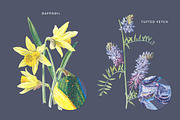 Vintage Flowers Vol.02 - Extra Large, an Illustration by Greta Ivy (Thumbnail 5 of 16)