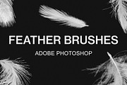 Adobe Photoshop feather brushes, a Brush Add-On by TiveCreate (Thumbnail 1 of 3)