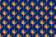 Bird Of Paradise Pattern, a Pattern Graphic by Pure Design (Thumbnail 2 of 2)
