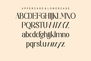 Madelin, a Serif Font by Kenrichi (Thumbnail 10 of 14)
