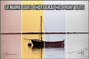 Genuine Gold Photographic Print LUTs