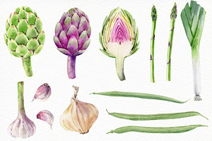 Watercolor Vegetables And Herbs