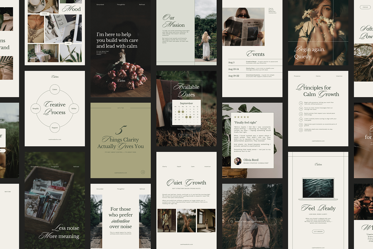 CAELM Instagram Post Story Template preview 5