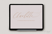 Procreate Modern Lettering Brush, a Brush Add-On by BohoCalligraphy (Thumbnail 1 of 5)