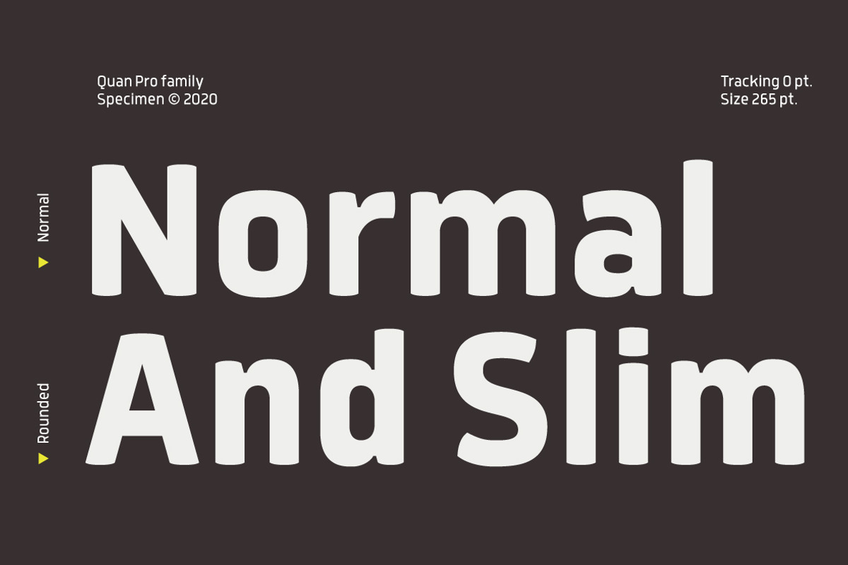 Quan Pro, a Sans Serif Font by Typesketchbook Foundry (Photo 7 of 7)